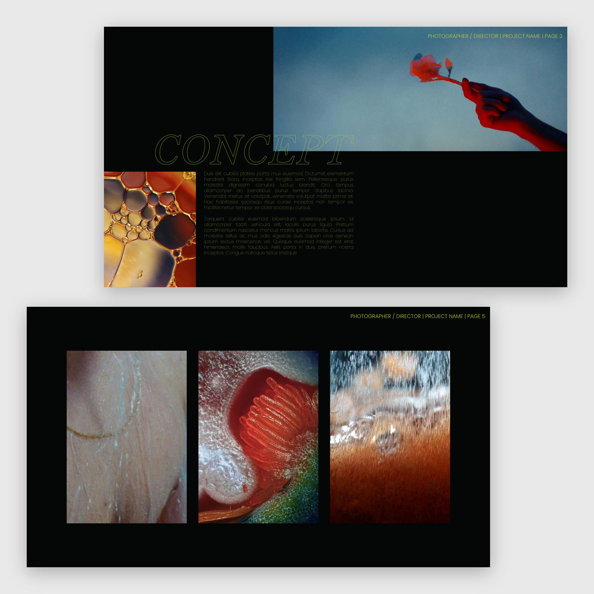 CYNOSURE | CINEMATIC DIRECTOR'S TREATMENT TEMPLATE