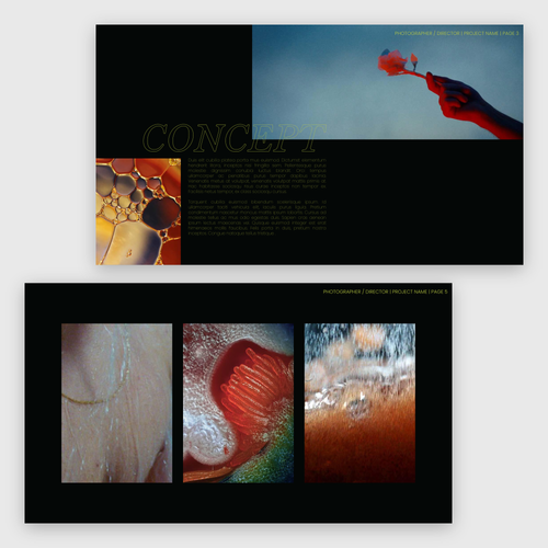 CYNOSURE | CINEMATIC DIRECTOR'S TREATMENT TEMPLATE