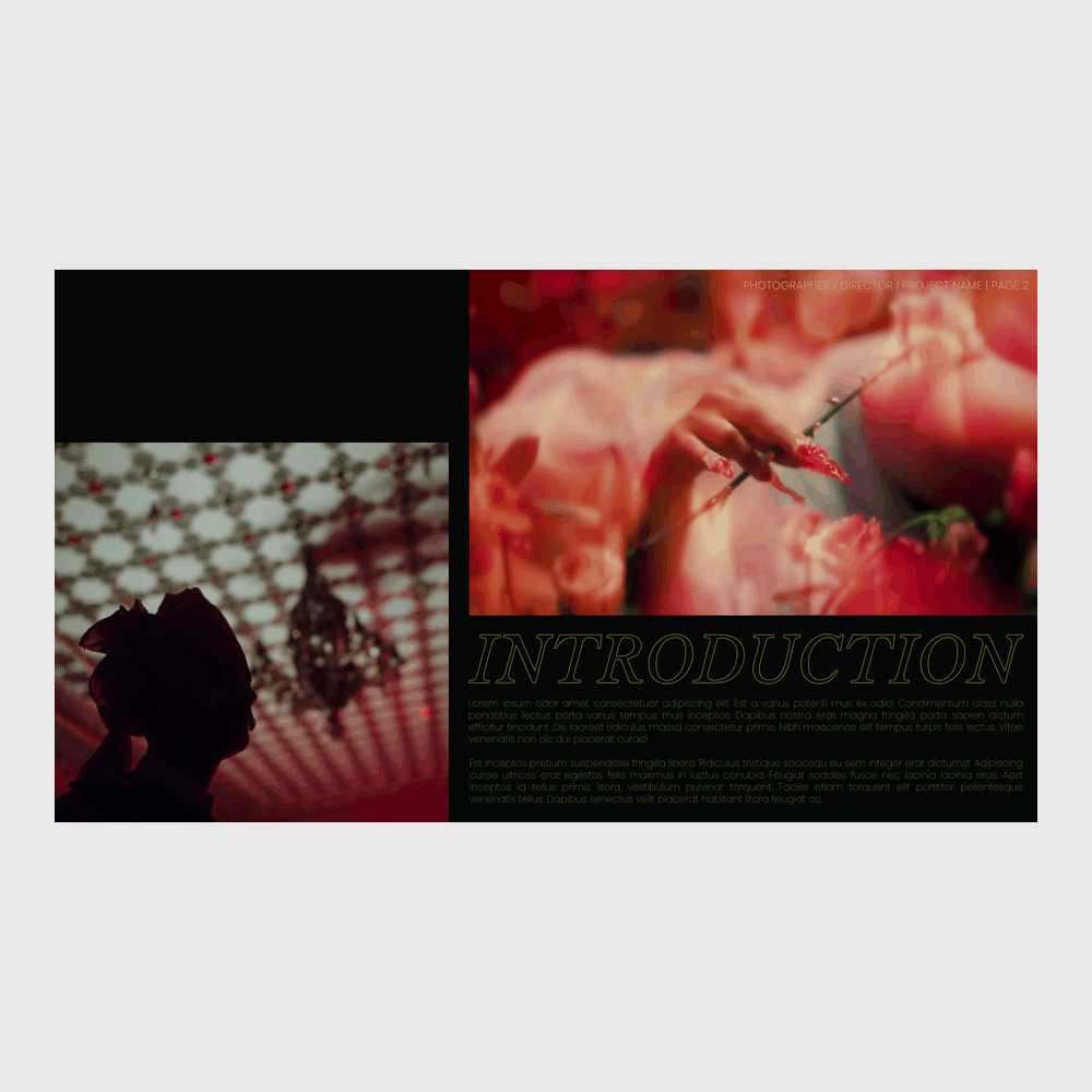 CYNOSURE | CINEMATIC DIRECTOR'S TREATMENT TEMPLATE