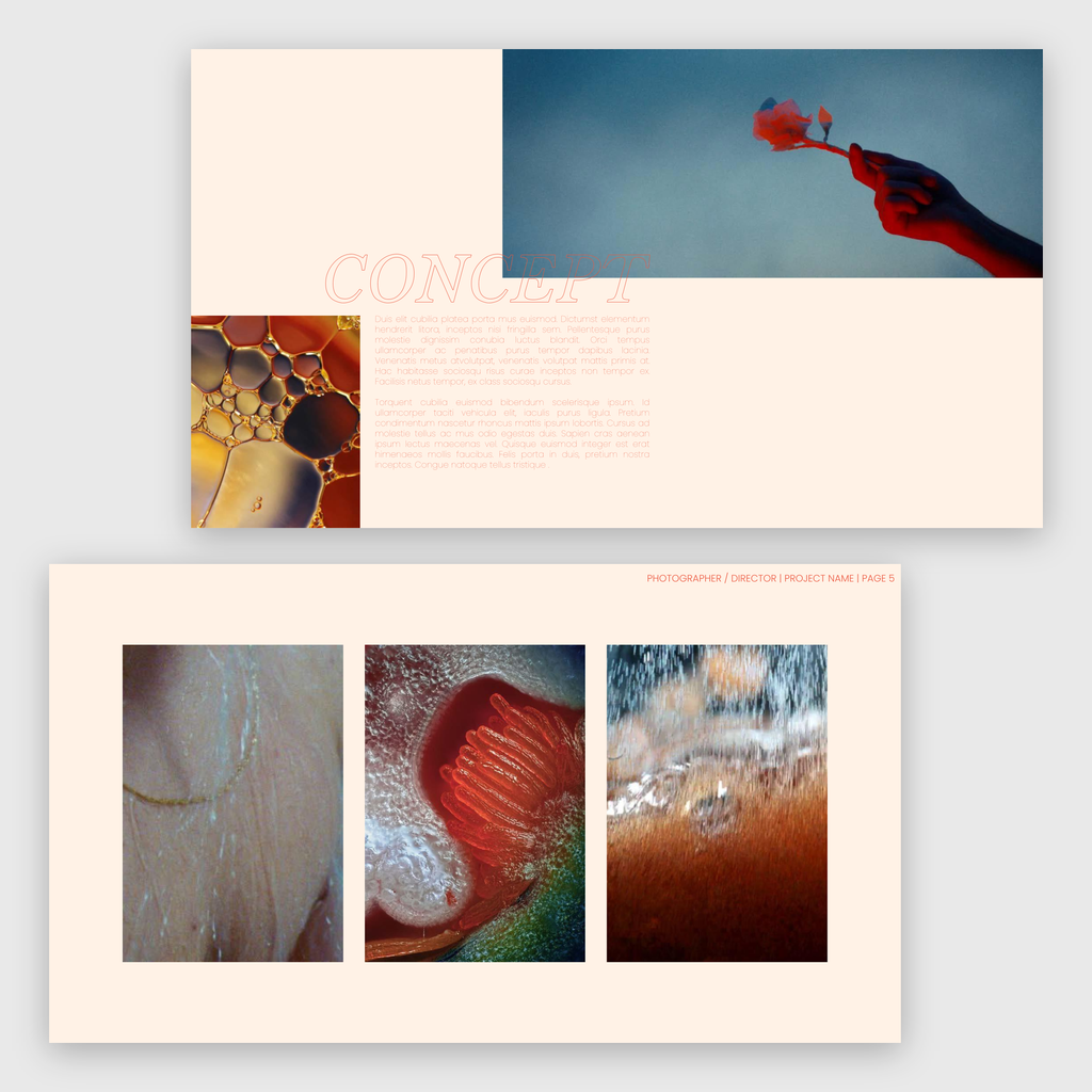 CYNOSURE | CINEMATIC DIRECTOR'S TREATMENT TEMPLATE