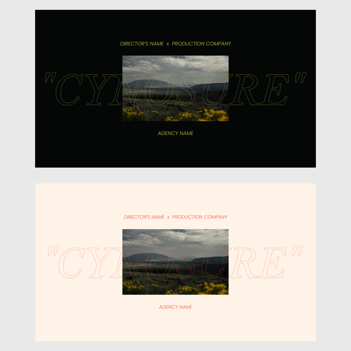 CYNOSURE | Cinematic Director's Treatment Template